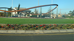 西班牙休閑草坪