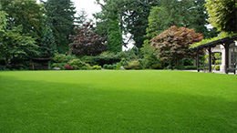 加拿大休閑場地