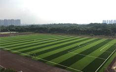 南昌大學(xué)醫(yī)學(xué)院