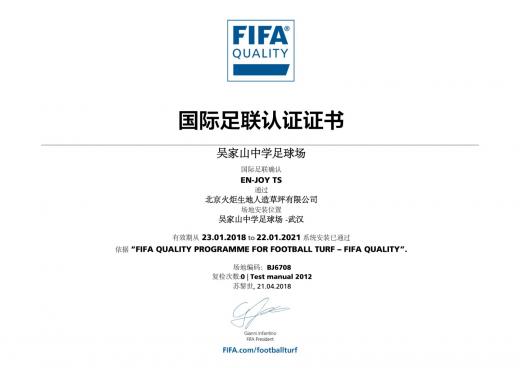 吳家山中學足球場