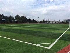 安徽經(jīng)濟職業(yè)技術(shù)學院    